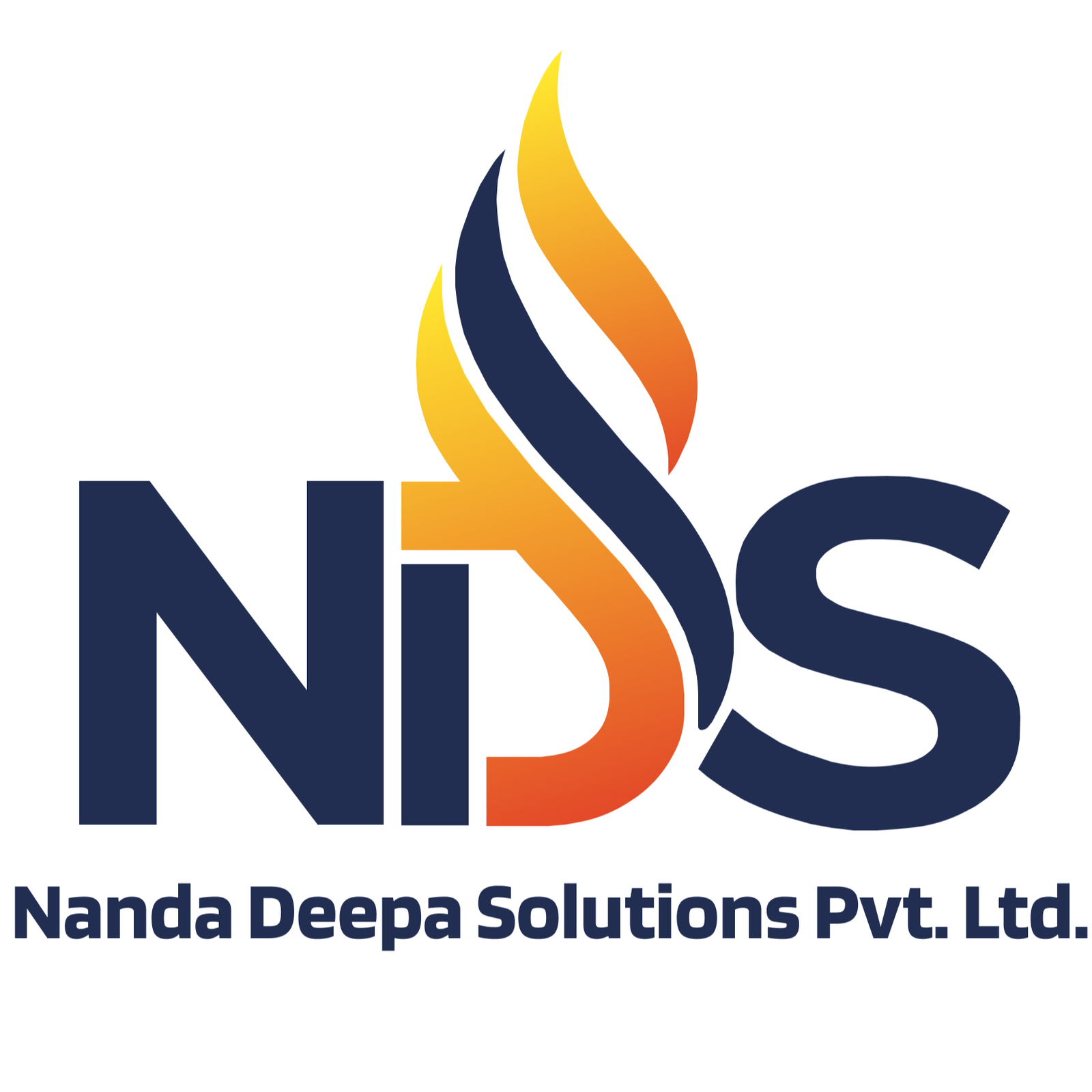 NDS Logo